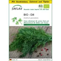 SAFLAX Kräutersamen SAFLAX - Anzuchtset - BIO - Dill