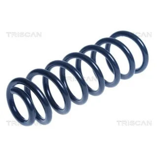 Triscan Feder hinten Peugeot 508 875028216