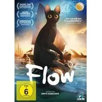 DVD Flow