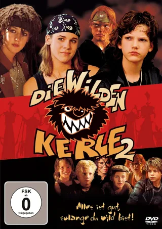 Die wilden Kerle 2 (DWK2) [DVD]