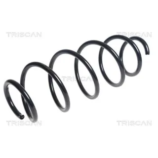 Triscan Feder vorne Fiat Doblo Opel Combo 875015198