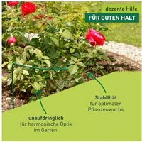Windhager Rankhilfe für optimalen Pflanzenwuchs, Staudenstütze, 1 St., Pflanzstab erhältlich in unterschiedlichen Größen