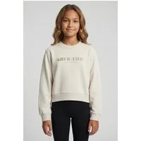 Calvin Klein Jeans Sweatshirt Regular fit, für Kinder bis 16 Jahre