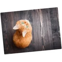 Tischsetmacher Platzset Tischset,  Platzset abwaschbar - für Kinder - Orange Katze, (aus erstklassigem Vinyl (Kunststoff - BPA-frei), 1-St., 44 x 32 cm - rutschfeste Tischdekoration), Made in Germany