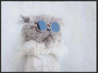 Fussmatte Katze 5001 | Größe: 60 cm x 45 cm