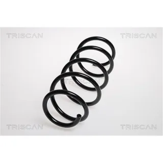 Triscan Feder vorne Opel Corsa D 875024137