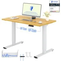 FLEXISPOT Schreibtisch Basic Plus höhenverstellbarer Schreibtisch mit Premium-Zubehör-Set (2 Motore & 2-Fach-Teleskop & 4 Höhenspeichertasten), MIT 25MM einteiliger Tischplatte, 120/140/160/180