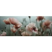 artissimo Glasbild Bild aus Glas 80x30 cm / Wandbild Querformat / Wanddeko modern, Blumen: Mohnblüten Pastell