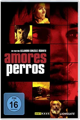 Amores perros