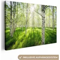 OneMillionCanvasses® Leinwandbild Birke - Wald - Frühling, Fotodruck (1 St), Leinwand Bilder Klein, Wand Dekoration Aesthetic 30x20 cm