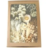 Trockenblume Klein Trockenblumen Deko Trockenblumen mit Papierbox Getrocknete Blumen, Trockenblumen zum Basteln, Agger, für Heimwerken Harz Scrapbooking Karten Heimdekoration