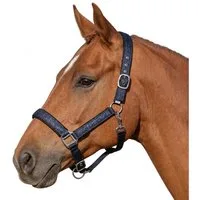 Pferdelinis Halfter Halfter Pferde Glitzer, gepolstert, Größe Pony, Cob, Warmblut, Shetty, Glitzer