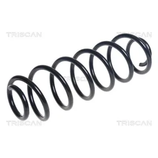 Triscan Feder hinten Peugeot 2008 875028270