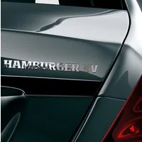 HSV Fahne HSV Schriftzug Chrom "Hamburger SV"""