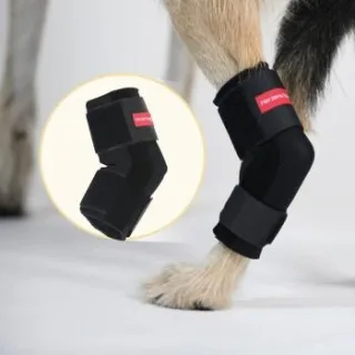 HerzensTier Sprunggelenkbandage Neopren L