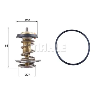 Mahle Thermostat Fiat Ducato Iveco Daily 2,3
