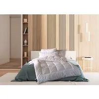 billerbeck Microfaserbettdecke Pamina Uno, Bettdecke in 135x200 cm, 155x220 cm, Sommer, Winter, Füllung: Polyester Hohlfaser, Bezug: samtweiches Microfaser-Gewebe, Kuschelige Microfaserdecke