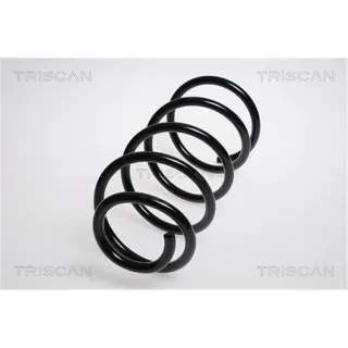 Triscan Feder vorne Mazda 5