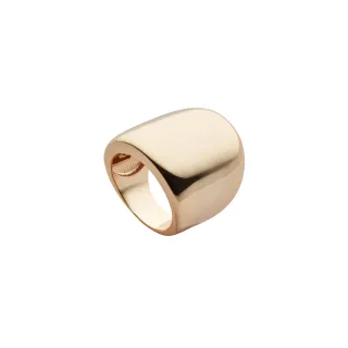 US Polo Assn Jewellery Athena Gelbgoldring