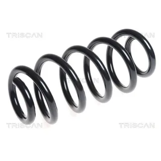 Triscan Feder vorne Audi Q5 3,0