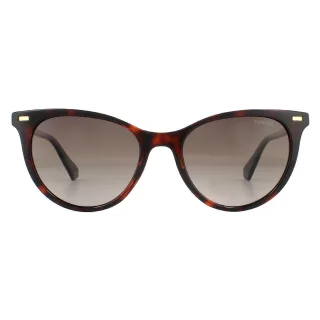 Polaroid Cat Eye Damen Havanna Braun Gradient Polarisierte Sonnenbrille