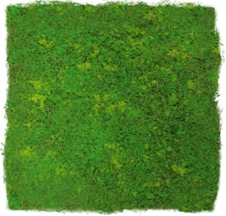 Grün