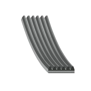 Febi Keilrippenriemen Citroen Fiat Ford Mazda Peugeot Toyota Volvo