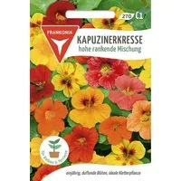 FRANKONIA Blumensamen Kapuzinerkresse, hohe rankende Mischung - Saatgut Samen, Tropaeolum majus