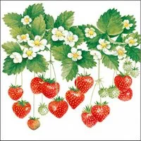 Ambiente Luxury Paper Products Papierserviette, Servietten Papier 33x33cm 3-lagig mit Erdbeeren & Blüten Motiv 20 Stk.