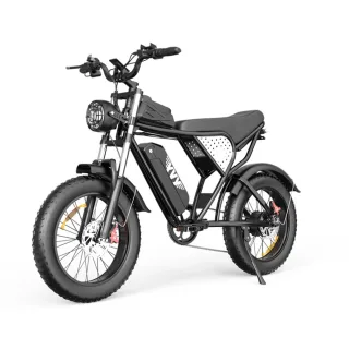 [EU Direct] YVY C20 Electric Bike 48V 20AH Battery 1500W Motor Recommended Top Speed 25KM/H 20*4.0 Inch Tires 90KM Max M