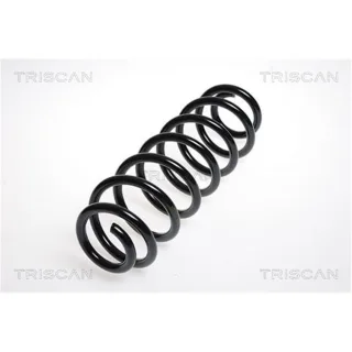 Triscan Feder hinten Seat Altea Skoda Octavia VW Beetle Golf Jetta