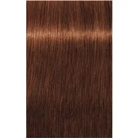 Schwarzkopf Haarfarbe Schwarzkopf Igora Absolutes 6-70 60ml
