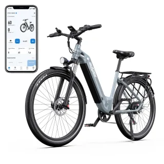 [EU DIRECT] Onesport OT05 Electric Bike, 36V 18.2AH Battery, 250W Motor, Top Speed 25KM/H, Torque Sensor, Dual Oil Brake