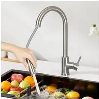 Nettlife Küchenarmatur Ausziehbar Schwarz/Silber Wasserhahn Küche Brause 2-in-1 Brausekopf (1-St) Edelstahl Mischbatterie Spüle 360° Drehbar mit 2 Strahlarten