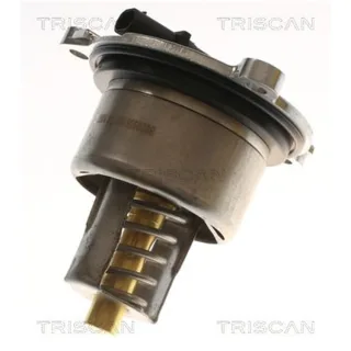 Triscan Thermostat Porsche 718 911 Boxster Cayman