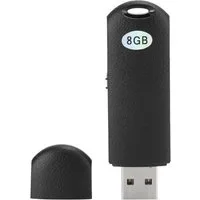 SpionProfi Usb Stick Voice Recorder Mini Diktiergerät Ton Aufnahmegerät Auto Haus Digitales Diktiergerät (Usb Stick Voice Recorder Diktiergerät Wanze Spion Spy Aufnahmegerät)