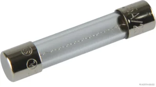 HERTH&BUSS Sicherung, Glas, F flink, 6,3 x 32mm, 250V max. - 50295150