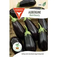 FRANKONIA Gemüsesamen Aubergine, Black Beauty - Saatgut Samen, Soanum meongena