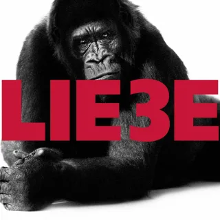 Liebe Drei