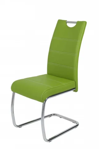 Esszimmerstühle Stuhl Freischwinger 2er Set ELENI Grün