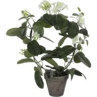 Kunstpflanze Mica Decorations Stephanotis in Topf polyester 50, Mica Decorations