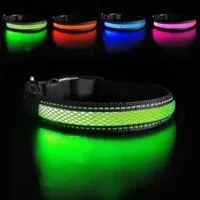 Illes-Laedchen Hunde-Halsband LED Hundehalsband USB wiederaufladbar – wasserdichtes Leuchthalsband, für Hunde mit 3 Leuchtmodi, reflektierend & langlebig