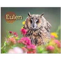 Wandkalender Eulen Kalender 2027