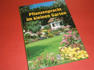 Pflanzenpracht im kleinen Garten.