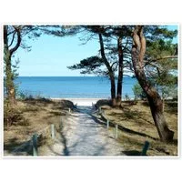 Posterlounge Wandbild Am Ostseestrand auf Rügen, Andrea Potratz, erhältlich als Poster, Leinwandbild, Wandsticker oder Acrylglasbild