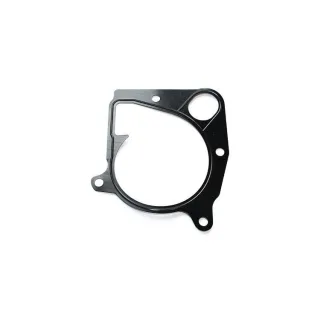Elring Dichtung f?r Wasserpumpe BMW