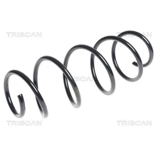Triscan Feder Vorne Citroen C3 875028186
