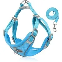 HS.SUPPLY Hunde-Geschirr Atmungsaktives Hundegeschirr mit Leine, Verstellbar & reflektierend, auch für Katzen geeignet, inklusive Leine