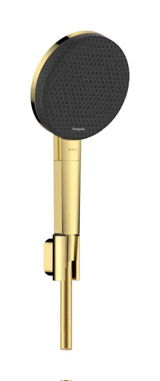 Hansgrohe Porterset Raindance Alive Select S 125 3jetEcoSmart Polished Gold Optic,24612990 24612990
