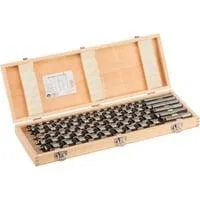 PRO Wood Holzschlangenbohrer-Satz, 6-teilig Arbeitslänge 385mm